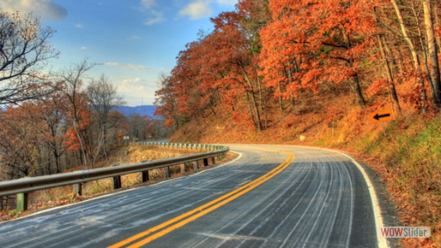 roadway_into_the_park_at_wildcat_mountain_state_park_wisconsin_591635